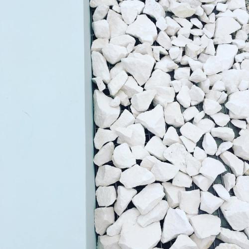 116393144_3792791384083931_5220820495829561645_n