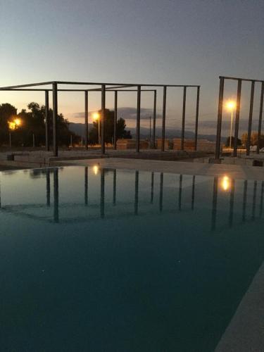 WhatsApp Image 2025-03-13 at 10.00.32